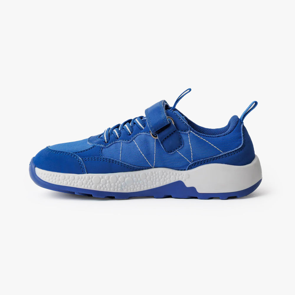 Cobalt Blue Kids